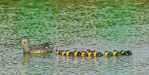 V社警告《CS2》开挂玩家：连你们的同伙也会封禁